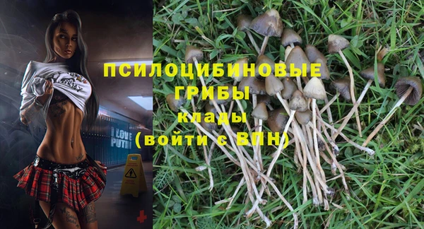 герыч Ладушкин