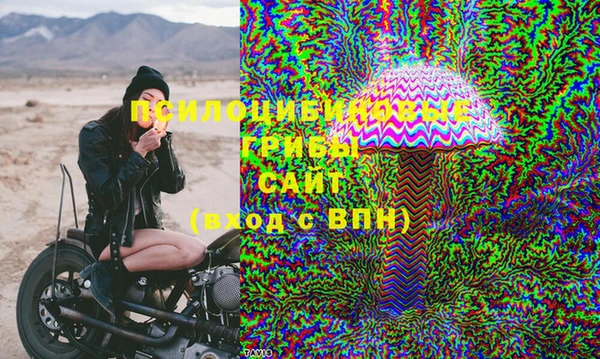 герыч Ладушкин