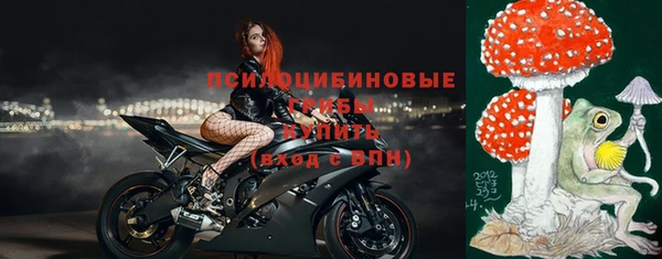 ECSTASY Лабытнанги