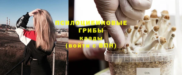 ECSTASY Лабытнанги